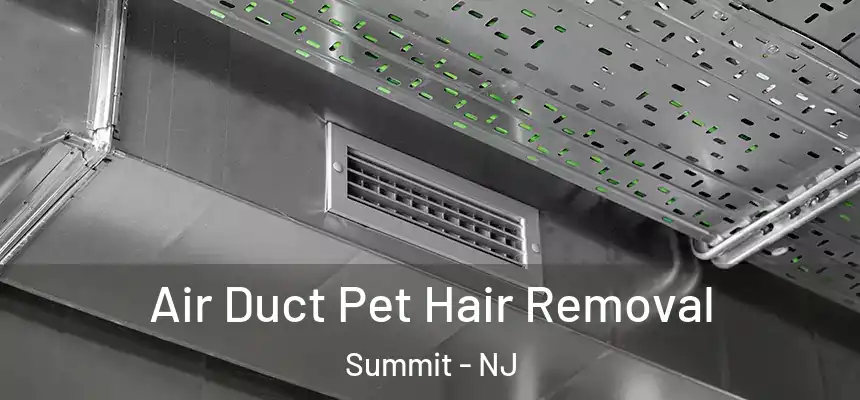  Air Duct Pet Hair Removal Summit - NJ