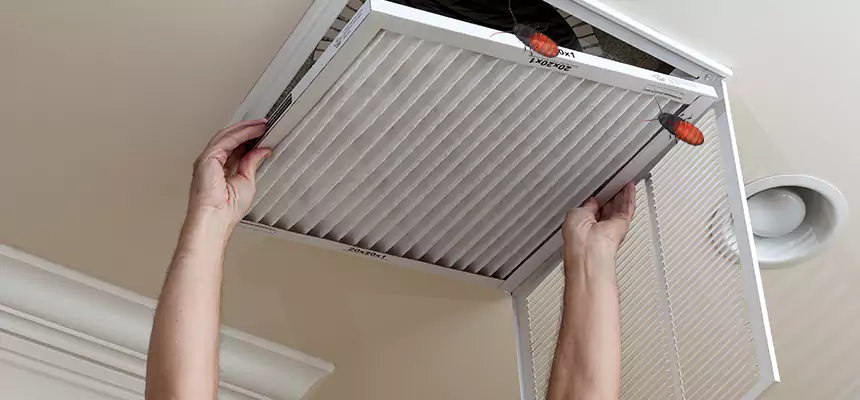 Preventive Cockroach-Proofing for Ducts in Summit