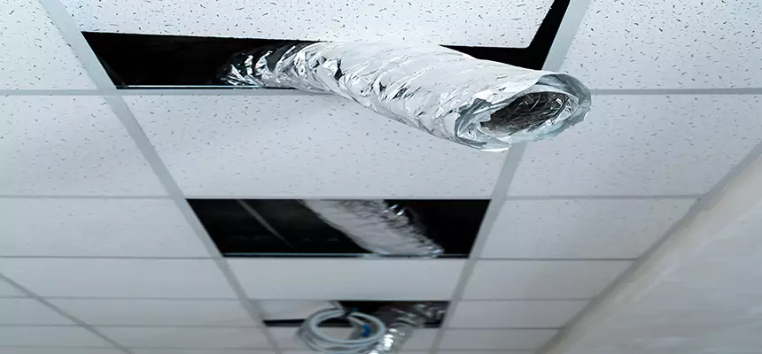 Affordable HVAC Sanitizing After Pest Removal in Summit