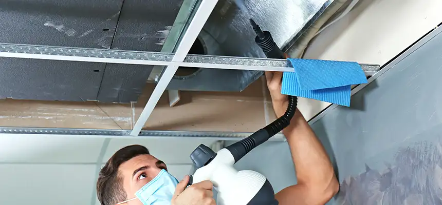Our Air Duct Rodent Removal Services in Summit, NJ