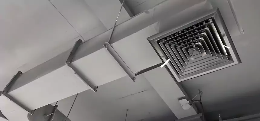 Restorative Allergy Relief Vent Cleaning – Coil, Blower & Housing Detail in Summit