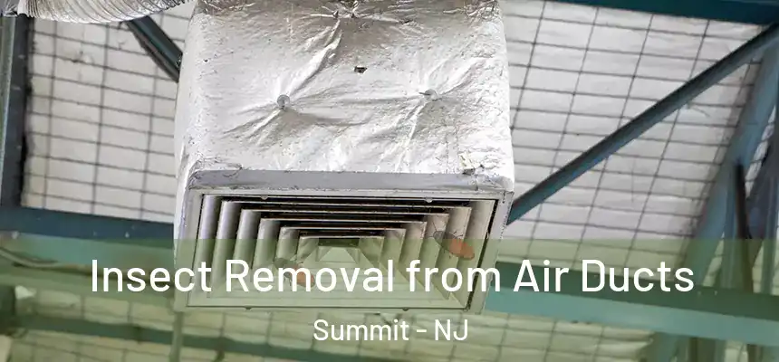  Insect Removal from Air Ducts Summit - NJ
