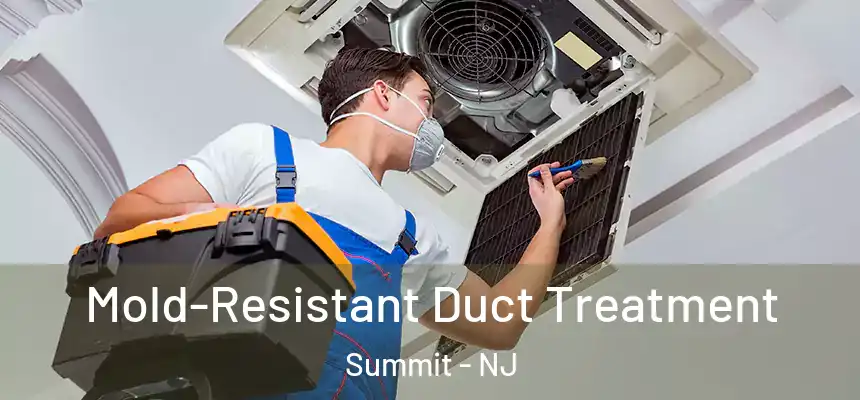  Mold-Resistant Duct Treatment Summit - NJ