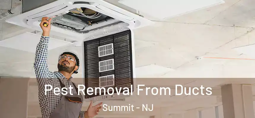 Pest Removal From Ducts Summit - NJ