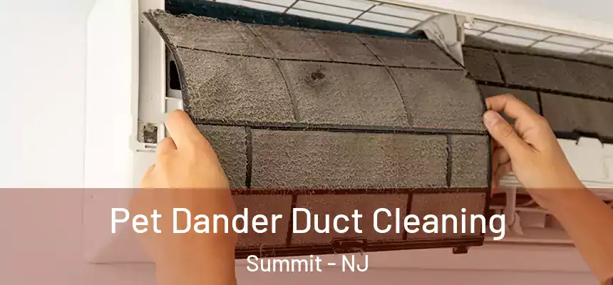  Pet Dander Duct Cleaning Summit - NJ