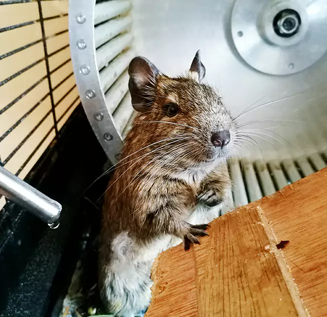 Why Homeowners & Businesses Trust Us Summit, NJ?